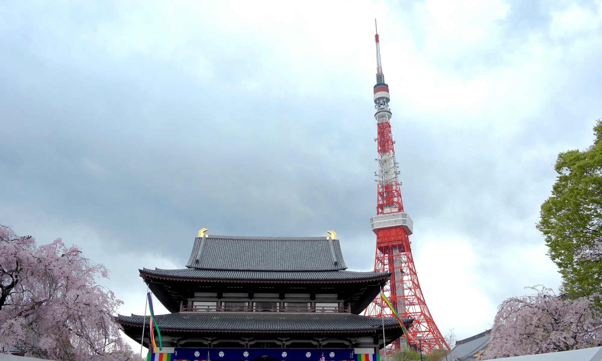 Japan! Tokyo… A City of Many Contrasts