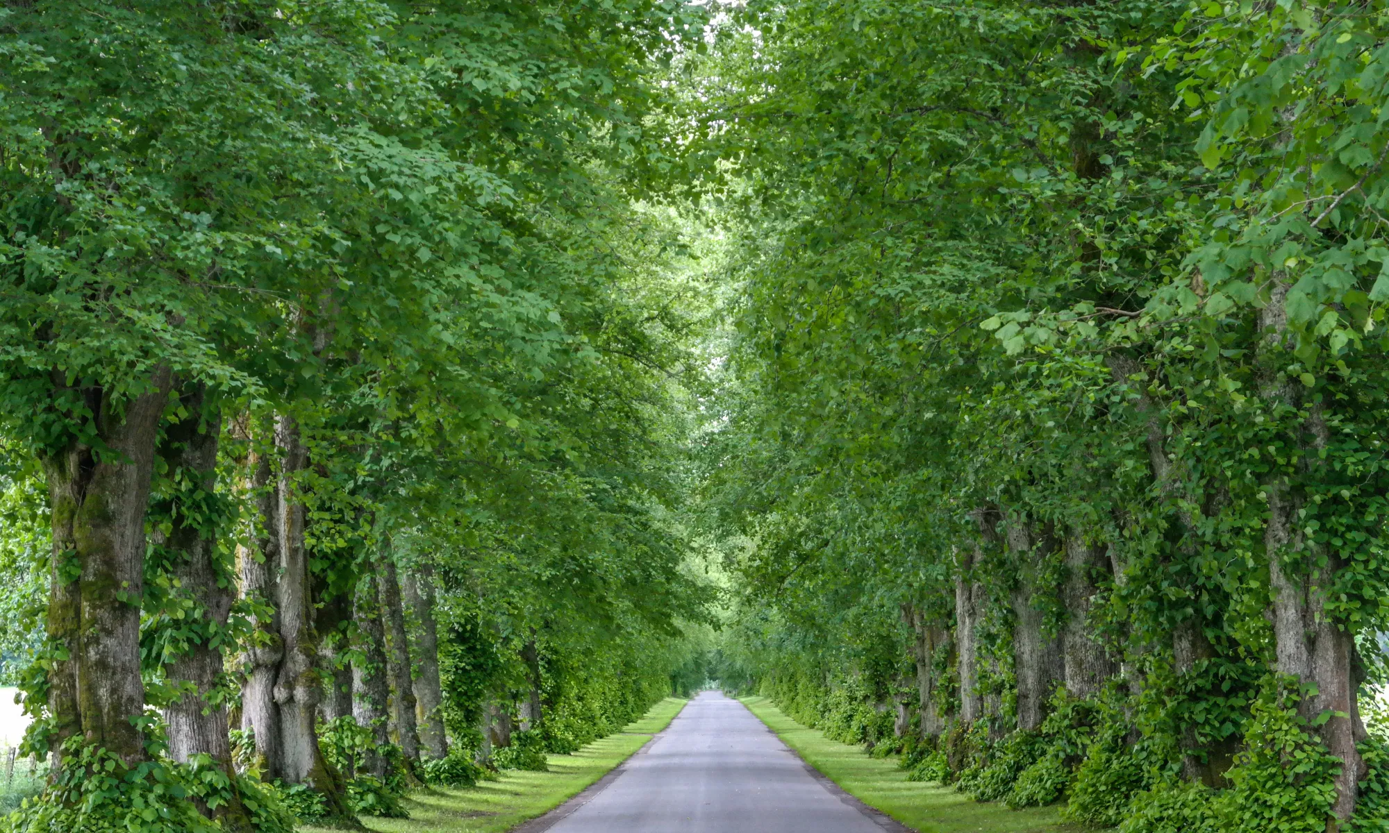 Visiting Blair Castle & Gardens