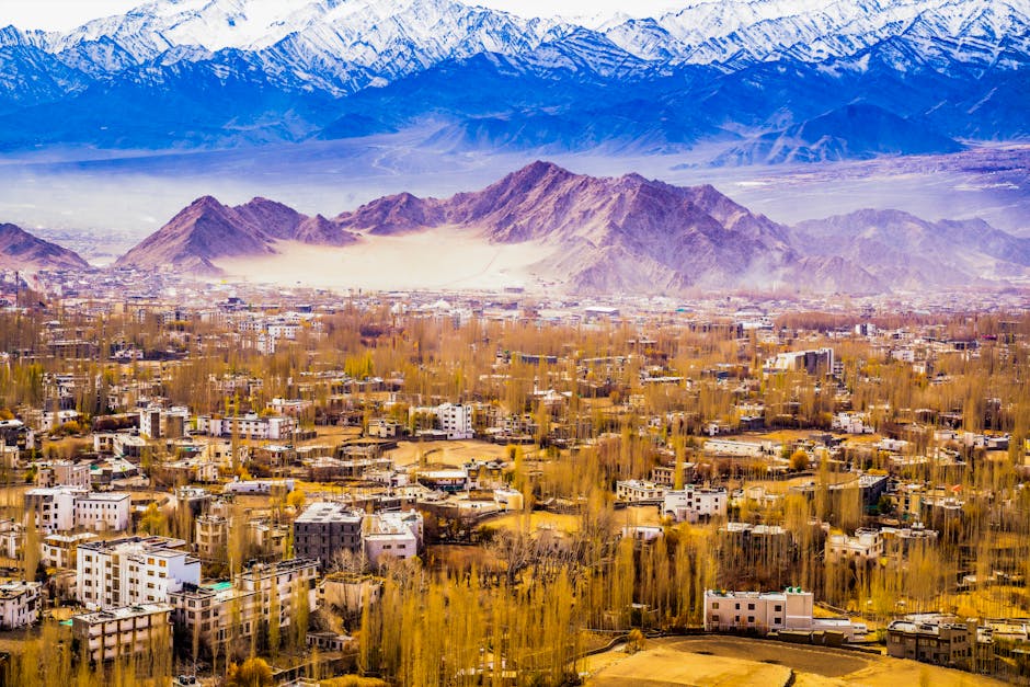 Panoramic view of Leh Ladakh city with mountains under a clear sky.