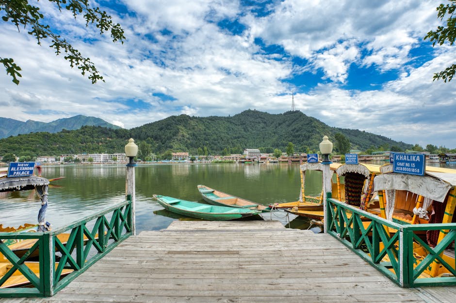 Dal Lake's serene beauty captured from a wooden dock with vibrant shikaras.