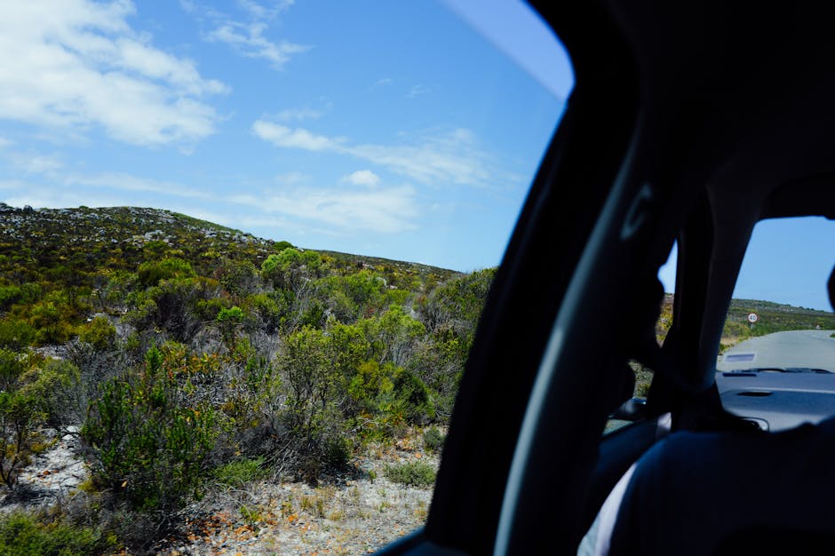 The Best Free Road Trip Planner Apps, Ranked Honestly