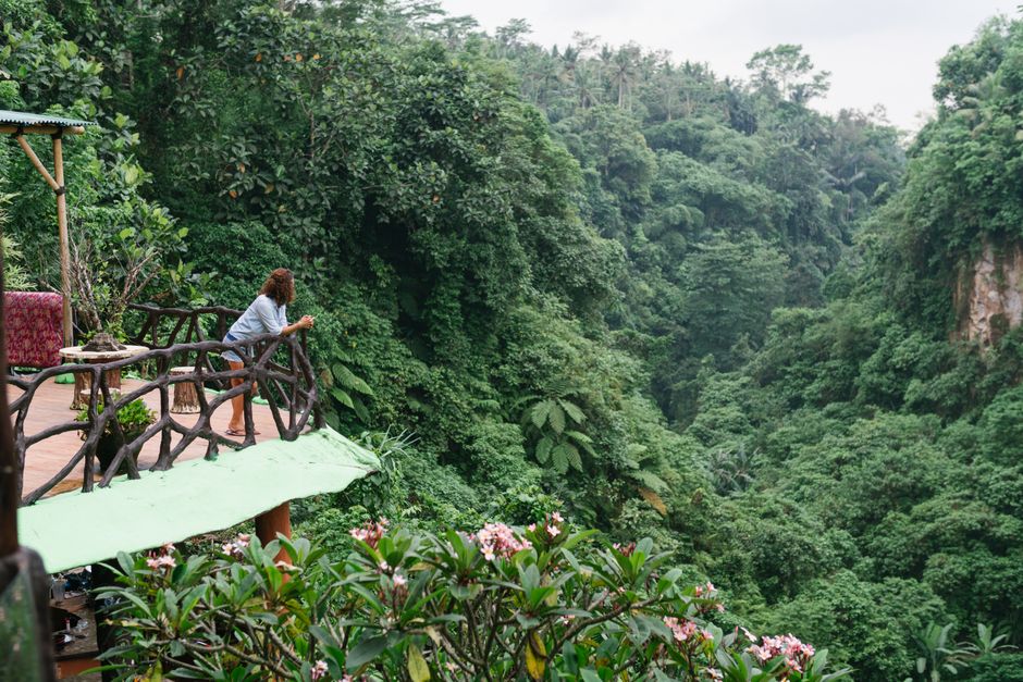 Eco Boutique Hotels Costa Rica Under 0: Eco Boutique Hotels in Costa Rica That Quietly Cut Corners