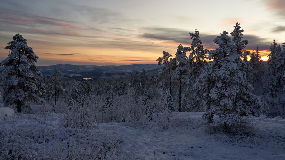 Captivating winter sunset over snowy forest in Krøderen, Norway.