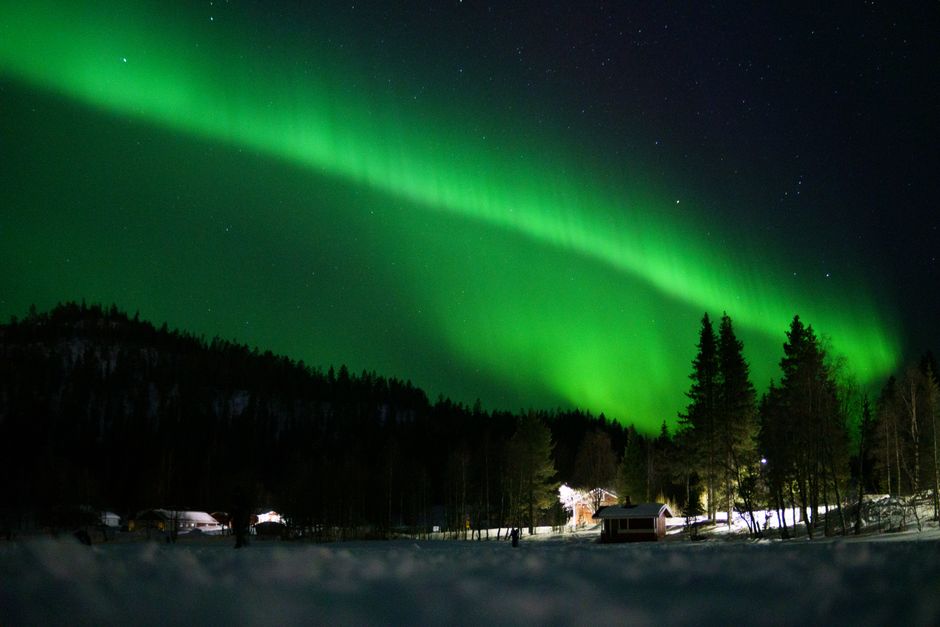 Stunning view of the Northern Lights illuminating a snowy forest in Lapland, Finland.