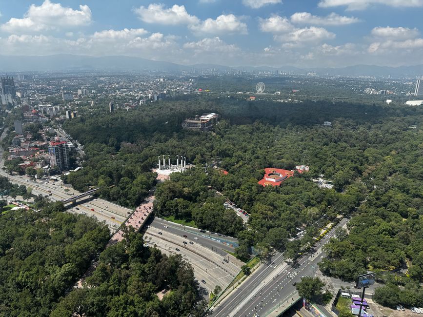 Mexico City in January: Dry Days, Real Culture