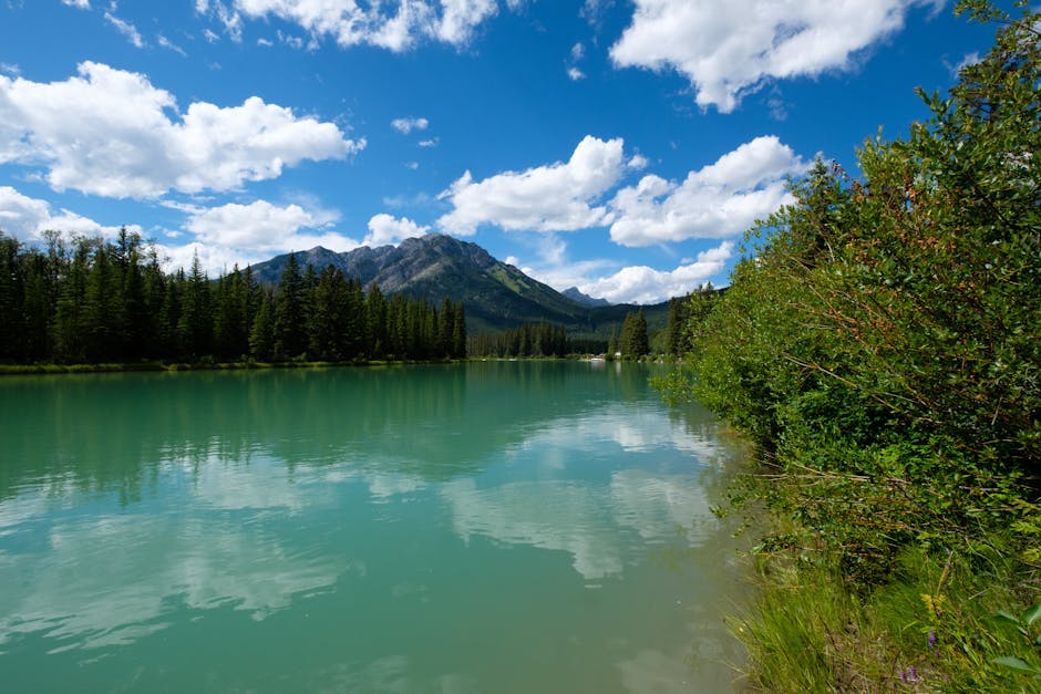 Crystal-clear lake reflecting mountains and forests under a summer sky.